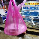 삼척항 활어회센터 회포장 후기