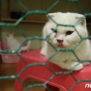 유예농장 이미지