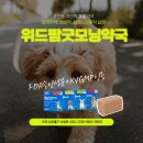 정광약국 이미지