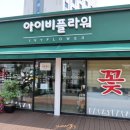 아이비플라워 앞 이미지
