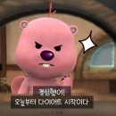 스튜디오우당탕탕