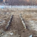 웅비농장 이미지