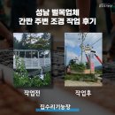 무성조경 | 성남 벌목업체 간판 주변 조경 작업 후기