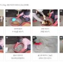 규산코팅 담수산파 매뉴얼(경기도농업기술원)