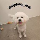 아미미용실 이미지