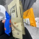 2024년 2월