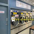 덱스터빨래방 이미지