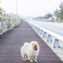 153스튜디오