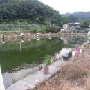 신추정낚시터 이미지