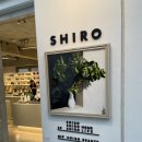 도쿄 오모테산도 시로(SHIRO) 매장 방문기 – 자연의 향기를 담은 특별한 공간