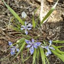 한가라지고개 | 석모도 해명산(324m, 인천 강화)