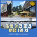 가이택펜션 | 강릉 애견동반 여행 1일 차 <가평휴게소> <가이택펜션> <경포호> <중앙시장>