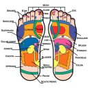 Foot &amp; Leg(발과 다리) / muscle of foot(발의 근육) 이미지
