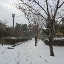 기사카센타 이미지