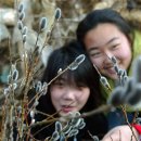 장전천2 이미지