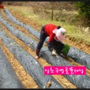 방골농장 Daum카페