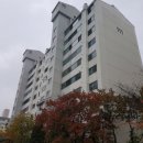 지에스(GS)25 정왕영남점 이미지