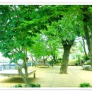 은평노인종합복지관 이미지