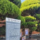 군산문화협동조합 로컬아이 | 아이들이 좋아하는 군산 카페 먹방이와 친구들