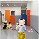 운암태권도 이미지
