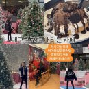 카페인 포레스트 본점 | [영천]🔴카페인 포레스트 본점🔴임고서원 아이와 가볼 만한 곳 식사 가능한 카페 대구근교 포항근교 눈...