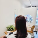 셀레네 헤어살롱 네이버블로그