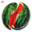 아트팩토리 청춘 이미지