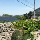 농가맛집 어부림 이미지