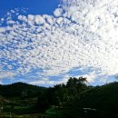 그리운 언덕 이미지