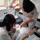 경북대학교 치의학전문대학원 이미지