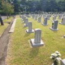 '단기 4281년'에서 '서기 1962년'으로 / 제헌국회가 세우고 군사정부가 지운 연호 이미지
