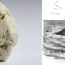 Article : Ambergris - Know The Raw Material Better