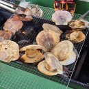 플로리다 대탄 | 멋진 오션뷰와 합리적인 가격의 영덕 플로리다대탄