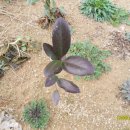 (주)황금농장 이미지