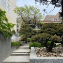 서교 이미지