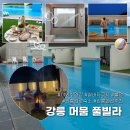 강릉 머뭄 풀빌라 후기｜수영장 자쿠지 있는 강릉 숙소 추천, 내돈내산