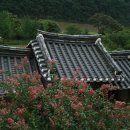 도산민박 이미지