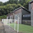 두바이애견풀빌라2 이미지