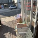 저스트고 | 혼자여행 저스트칠링 방문 후기