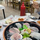 싱싱회타운 이미지