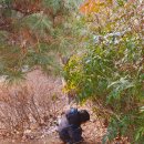 하루의 찬 이미지