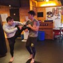 UFC 국제체육관 복싱,무에타이,주짓수,킥복싱,MMA 이미지