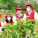 친환경 식물 메이커 이미지