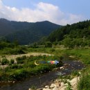 장미산영농조합법인 이미지