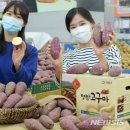 영암농협하나로마트 이미지