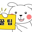 최배달 떡순튀 면목점 이미지