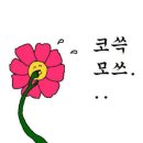 공백식당 이미지