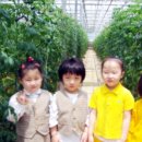 다빈농장 이미지