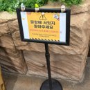 남동129 | 인천실내동물원 쥬벅스 ㅣ 아기동물 체험 가능한 실내동물원 인천 데이트 후기