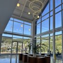 수지애견 이미지